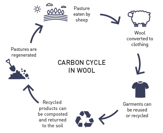 carbon cycle in wool